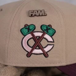 NEW ERA 9FORTY A-FRAME NHL CHICAGO BLACKHAWKS TOMAHAWKS TWO TONE / KELLY GREEN UV SNAPBACK -Headwear store P5193649