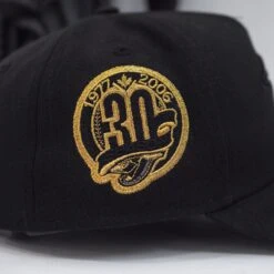 NEW ERA 9FORTY A-FRAME MLB TORONTO BLUE JAYS 30 SEASONS BLACK / GREY UV SNAPBACK 11 NEW ERA 9FORTY A-FRAME MLB TORONTO BLUE JAYS 30 SEASONS BLACK / GREY UV SNAPBACK -Headwear store P5220018