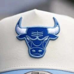 NEW ERA 9FORTY A-FRAME CHICAGO BULLS ESTABLISHED 1966 TWO TONE / GREY UV SNAPBACK -Headwear store P7163058