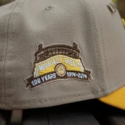 NEW ERA 9FORTY CHICAGO CUBS WRIGLEY FIELD TWO TONE / GREY UV TRUCKER 11 NEW ERA 9FORTY CHICAGO CUBS WRIGLEY FIELD TWO TONE / GREY UV TRUCKER -Headwear store P9260277