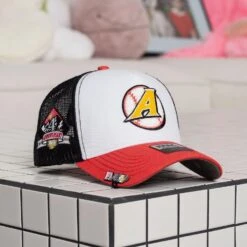 FAM.CAP SNAPBACK "A" CAP 4TH ANNIVERSARY MESH TRUCKER TWO TONE / GREY UV