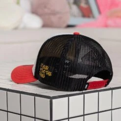 FAM.CAP SNAPBACK "A" CAP 4TH ANNIVERSARY MESH TRUCKER TWO TONE / GREY UV 14 FAM.CAP SNAPBACK "A" CAP 4TH ANNIVERSARY MESH TRUCKER TWO TONE / GREY UV -Headwear store PC190377